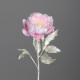 57Cm Açık Pembe Renkli Şakayık 57Cm Açık Pembe Renkli Şakayık