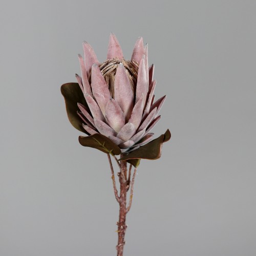 70 Cm Açık Pembe Protea 70 Cm Açık Pembe Protea