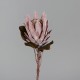 70 Cm Açık Pembe Protea 70 Cm Açık Pembe Protea