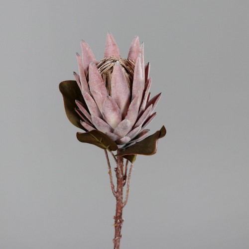 70 Cm Açık Pembe Protea 70 Cm Açık Pembe Protea