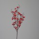 86 Cm KuşBurnu 86 Cm KuşBurnu