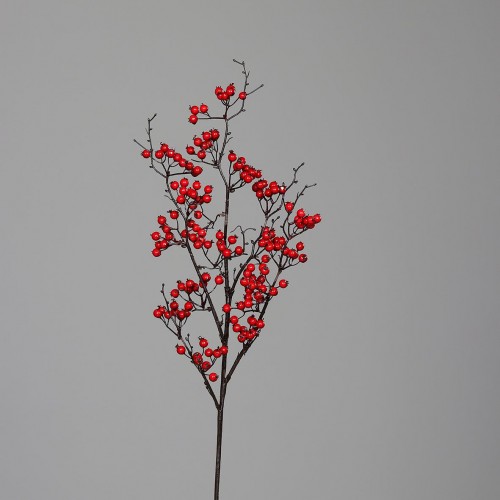 86 Cm KuşBurnu 86 Cm KuşBurnu