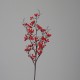 86 Cm KuşBurnu 86 Cm KuşBurnu