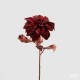Fiori 50 Cm Kırmızı Yıldız Çiçeği Fiori 50 Cm Kırmızı Yıldız Çiçeği