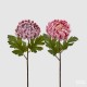 Fiori 50 Cm Pembe Kasımpatı Çiçeği Fiori 50 Cm Pembe Kasımpatı Çiçeği