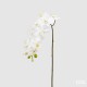 Fiori 58 Cm Beyaz Orkide Çiçek Fiori 58 Cm Beyaz Orkide Çiçek