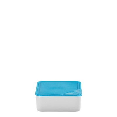 Küchenfr. Kunststoff 15*15 Cm Saklama Kabı